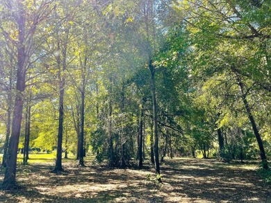 A Peaceful Retreat Near Lone Star Lake - 6.33 Acres of Pure - photo 7