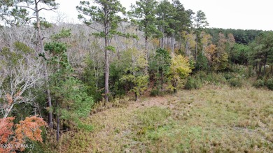 2.7 ACRE COASTAL PROPERTY FOR SALE IN BEAUTIFUL MERRIMON BAY! - photo 6