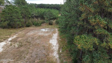 2.7 ACRE COASTAL PROPERTY FOR SALE IN BEAUTIFUL MERRIMON BAY! - photo 8
