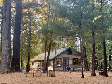 Lake Home For Sale in Branch, Michigan