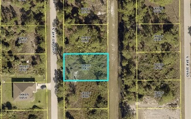 Lehigh Acres Area Lot For Sale in Lehigh Acres Florida