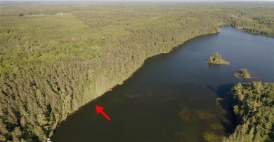 (private lake, pond, creek) Acreage For Sale in Carpenter Twp Minnesota