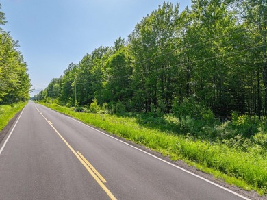 20 acres and panoramic views of Lake Superior just down the - photo 21