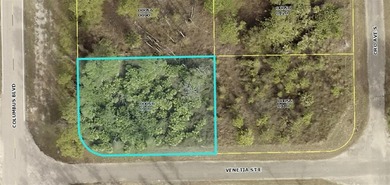 Lehigh Acres Area Lot For Sale in Lehigh Acres Florida