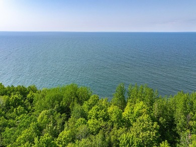 20 acres and panoramic views of Lake Superior just down the - photo 22