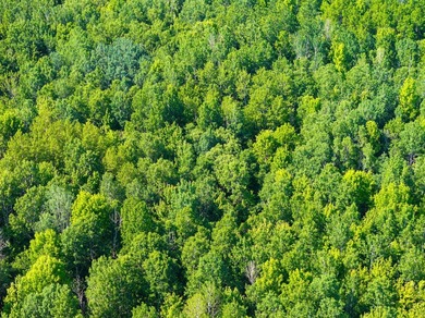 20 acres and panoramic views of Lake Superior just down the - photo 29