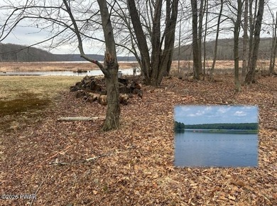 Paupackan Lake Lot For Sale in Hawley Pennsylvania