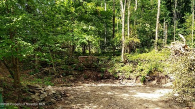 Tingley Lake Acreage For Sale in New Milford Pennsylvania