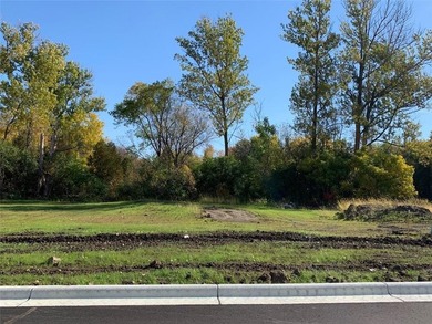 (private lake, pond, creek) Lot For Sale in Owatonna Minnesota