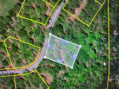 Table Rock Lake Lot For Sale in Cape Fair Missouri