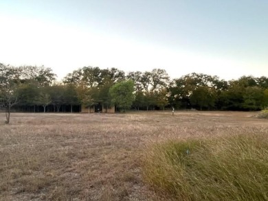 Proctor Lake Lot For Sale in Comanche Texas