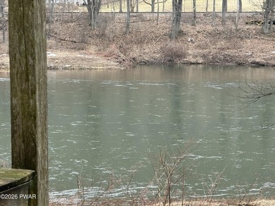 Lake Home For Sale in Equinunk, Pennsylvania