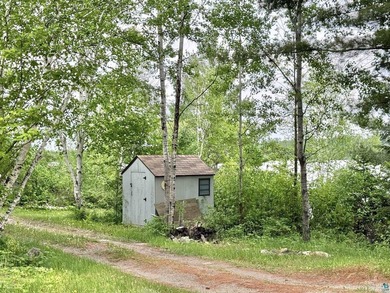 Rare Find! Cabin on Private Land on Whiteface Reservoir! Escape - photo 13