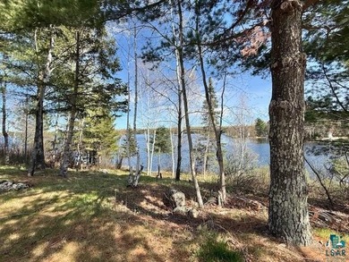 Rare Find! Cabin on Private Land on Whiteface Reservoir! Escape - photo 23