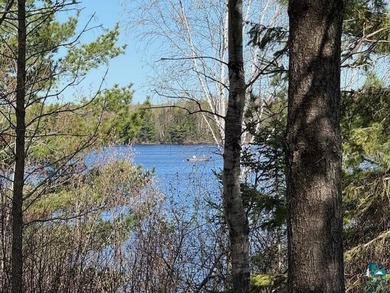 Rare Find! Cabin on Private Land on Whiteface Reservoir! Escape - photo 24