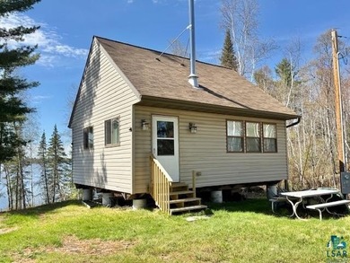 Rare Find! Cabin on Private Land on Whiteface Reservoir! Escape - photo 26