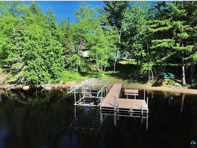 Rare Find! Cabin on Private Land on Whiteface Reservoir! Escape - photo 31