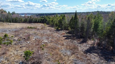 A rare opportunity to own a fully surveyed 6-lot subdivision - photo 2