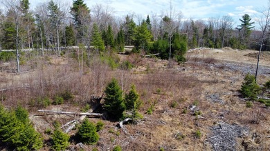 A rare opportunity to own a fully surveyed 6-lot subdivision - photo 4