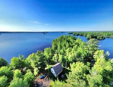 Rare Find! Cabin on Private Land on Whiteface Reservoir! Escape - photo 35