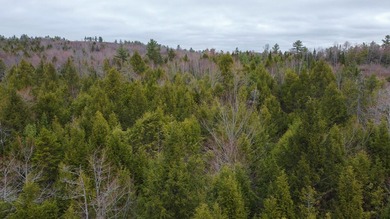 A rare opportunity to own a fully surveyed 6-lot subdivision - photo 5