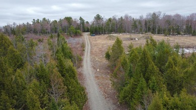 A rare opportunity to own a fully surveyed 6-lot subdivision - photo 9