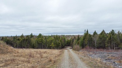 A rare opportunity to own a fully surveyed 6-lot subdivision - photo 10