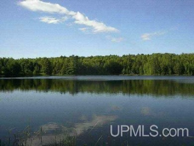 Lake Acreage For Sale in Duncan, Michigan