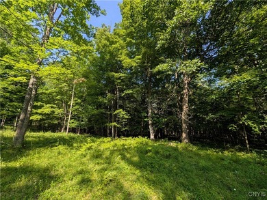 Welcome to your Grindstone island recreational paradise like no - photo 47