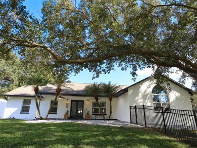 Lake Minnehaha Home Sale Pending in Clermont Florida