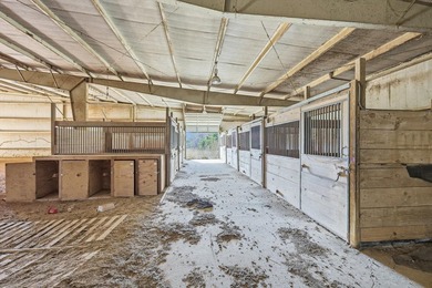 Former Noelling Hills Horse Ranch with just under 275 acres of - photo 13
