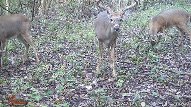 Former Noelling Hills Horse Ranch with just under 275 acres of - photo 30