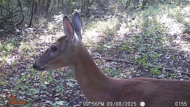 Former Noelling Hills Horse Ranch with just under 275 acres of - photo 33