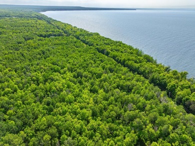 Legacy property on Lake Superior! 34 acres in total w/ 14 acres - photo 36
