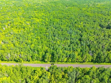 Legacy property on Lake Superior! 34 acres in total w/ 14 acres - photo 38