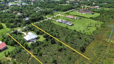 PGA Village estate home with plenty of room to build a guest - photo 44