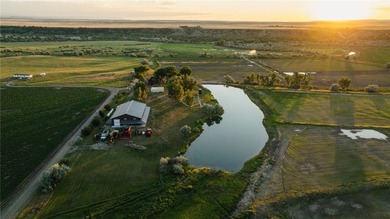 Dark Skies Farm may be the most improved duck hunting land ever - photo 2