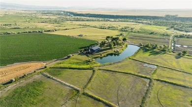 Dark Skies Farm may be the most improved duck hunting land ever - photo 7