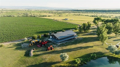 Dark Skies Farm may be the most improved duck hunting land ever - photo 8