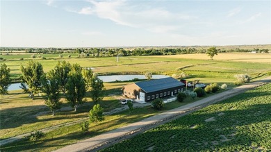 Dark Skies Farm may be the most improved duck hunting land ever - photo 9