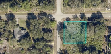 Lehigh Acres Area Lot For Sale in Lehigh Acres Florida