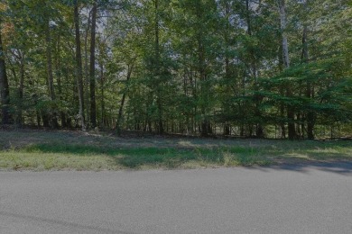 Lake Lot For Sale in Gainesville, Georgia