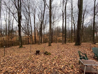 Immaculate 11/2 story cabin located near the shores of Barren - photo 7