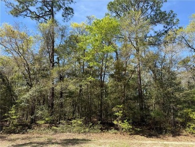 This is an excellent opportunity to own a great residential lot - photo 3