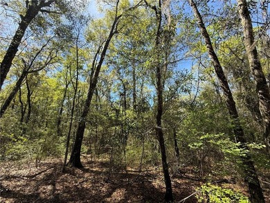 This is an excellent opportunity to own a great residential lot - photo 8