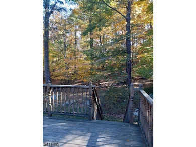 Charming raised ranch on a large, level lot backing to beautiful - photo 12