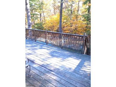 Charming raised ranch on a large, level lot backing to beautiful - photo 13