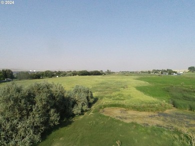 Discover a unique opportunity to own a productive and fertile - photo 13