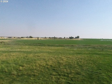 Discover a unique opportunity to own a productive and fertile - photo 14