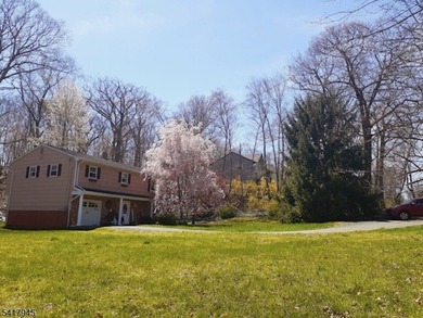 Charming raised ranch on a large, level lot backing to beautiful - photo 15